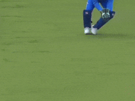 India Mi GIF by Amarillo College