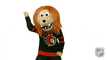 Ice Hockey Dancing GIF by NHL