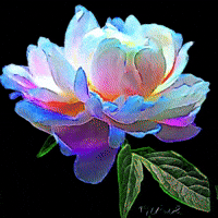 Flower GIF by Maryanne Chisholm - MCArtist