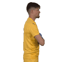 Gregor Kobel Switzerland Sticker by Swiss Football Association