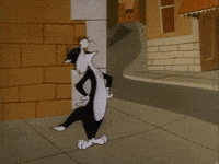 Tweety Bird Oops GIF by Looney Tunes