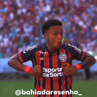 Bahiadaresenha GIF