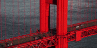 san francisco california GIF
