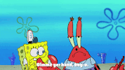 season 9 episode 25 GIF by SpongeBob SquarePants