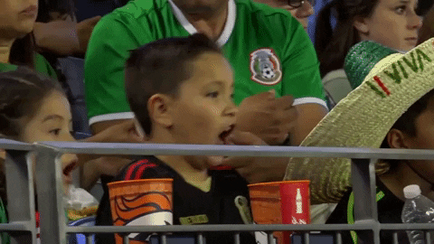 wow GIF by MiSelecciónMX