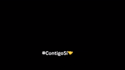 gobgto diego guanajuato gobierno gto GIF