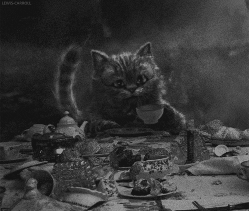 Movie gif. Black-and-white scene of the Cheshire Cat, from the 2010 Alice in Wonderland, behind a busy tea table, grinning as he raises his teacup.