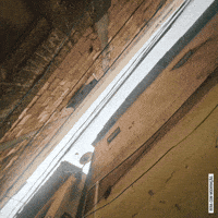 Musica Brazil GIF by Cerveja Devassa