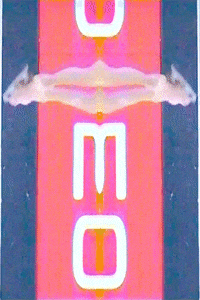 GIF by Douglas Schatz