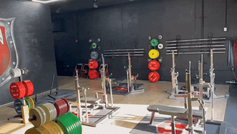 Powerlifting GIF by Tysonsplayground