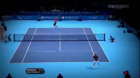 davydenko GIF