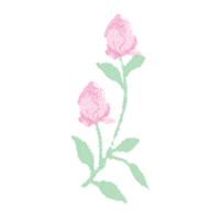 Flower Rose Sticker by Shop 437