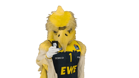 Ewe Baskets Basketball Sticker by EWE Baskets Oldenburg