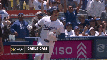 Celebrate Major League Baseball GIF by MLB
