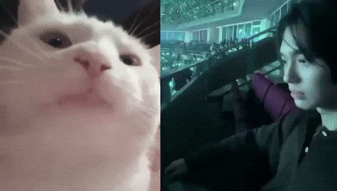 Dance Win GIF