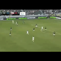 lavne GIF by LA Galaxy