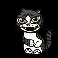 irene_hsyu cat smile xd 고양이 GIF