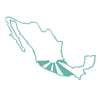 Cincodemayo Sticker by Mezcal Unión US