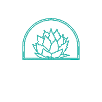 Cincodemayo Sticker by Mezcal Unión US