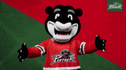 Hockey Mascot GIF by Augsburger Panther Eishockey GmbH