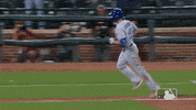 Major League Baseball Sport GIF by MLB