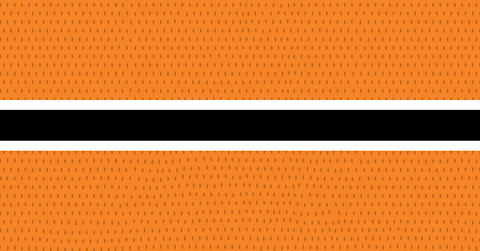 ice hockey GIF by Lehigh Valley Phantoms