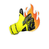 Goalkeeper Goalkeeping Sticker by Reusch