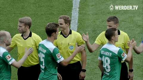referee schiris GIF by SV Werder Bremen