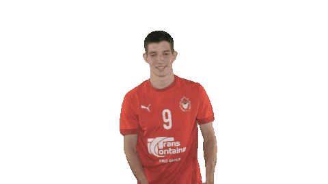 Cskahandball Sticker by CSKA men's handball club