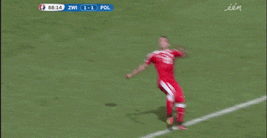 euro 2016 GIF by Sporza