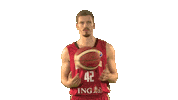 Germany Game Sticker by FIBA