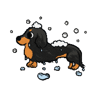 Sausage Dog Dachshund Sticker