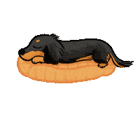 Sausage Dog Dachshund Sticker