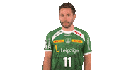 Handball-Bundesliga Handball Sticker by LIQUI MOLY HBL