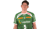 Handball-Bundesliga Handball Sticker by LIQUI MOLY HBL