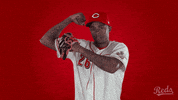 Baseball Mlb GIF by Cincinnati Reds