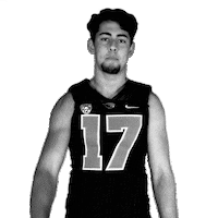 john oregon Sticker by OregonStateAthletics