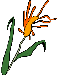 Flower Go Easy Sticker by Jamie Wolfe