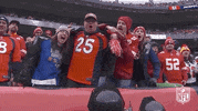 Regular Season Football GIF by NFL