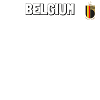 World Cup Football Sticker by Pudgy Penguins