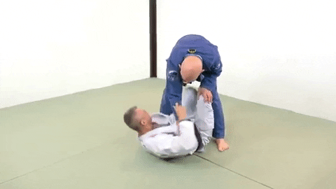 ritchieyip giphygifmaker bjj xguard GIF