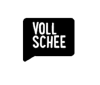 Party Hair Sticker by Stadtfriseure Regensburg