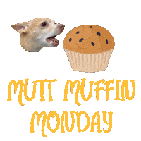 Muffin Doggy Daycare Sticker by waggingtailspr