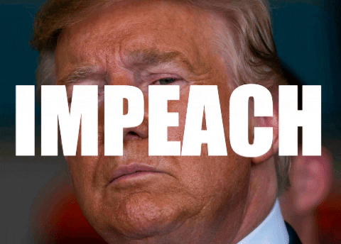 giphygifmaker impeachment impeach impeach trump impeach the pres GIF
