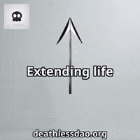 Sarcastic Life GIF by deathlessdao