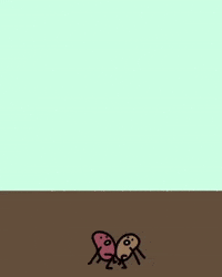 Flower Grow GIF