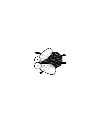 fly egm Sticker