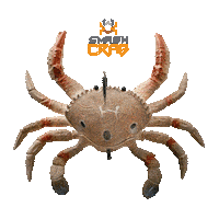 Lure Sticker by Chasebaits