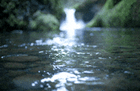 Girl Sigh GIF