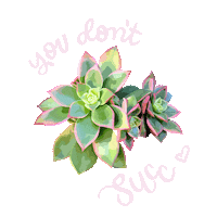 Youre The Best I Love You Sticker